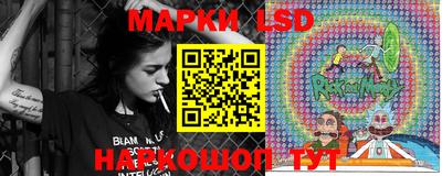 Альфа ПВП Будённовск