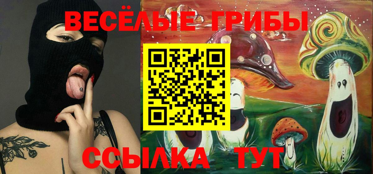 Псилоцибиновые грибы Magic Shrooms Сочи